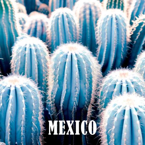 RIHANNO - MEXICO
