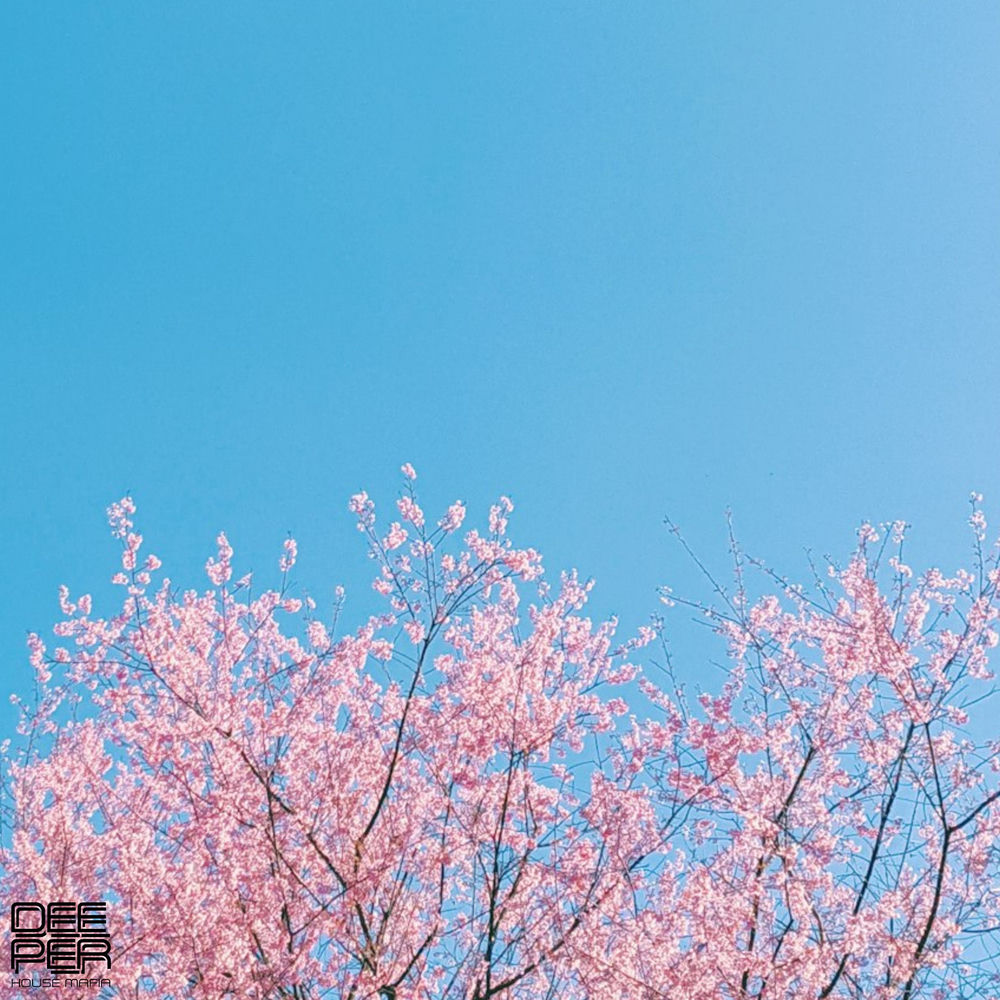Aurai - RILTIM