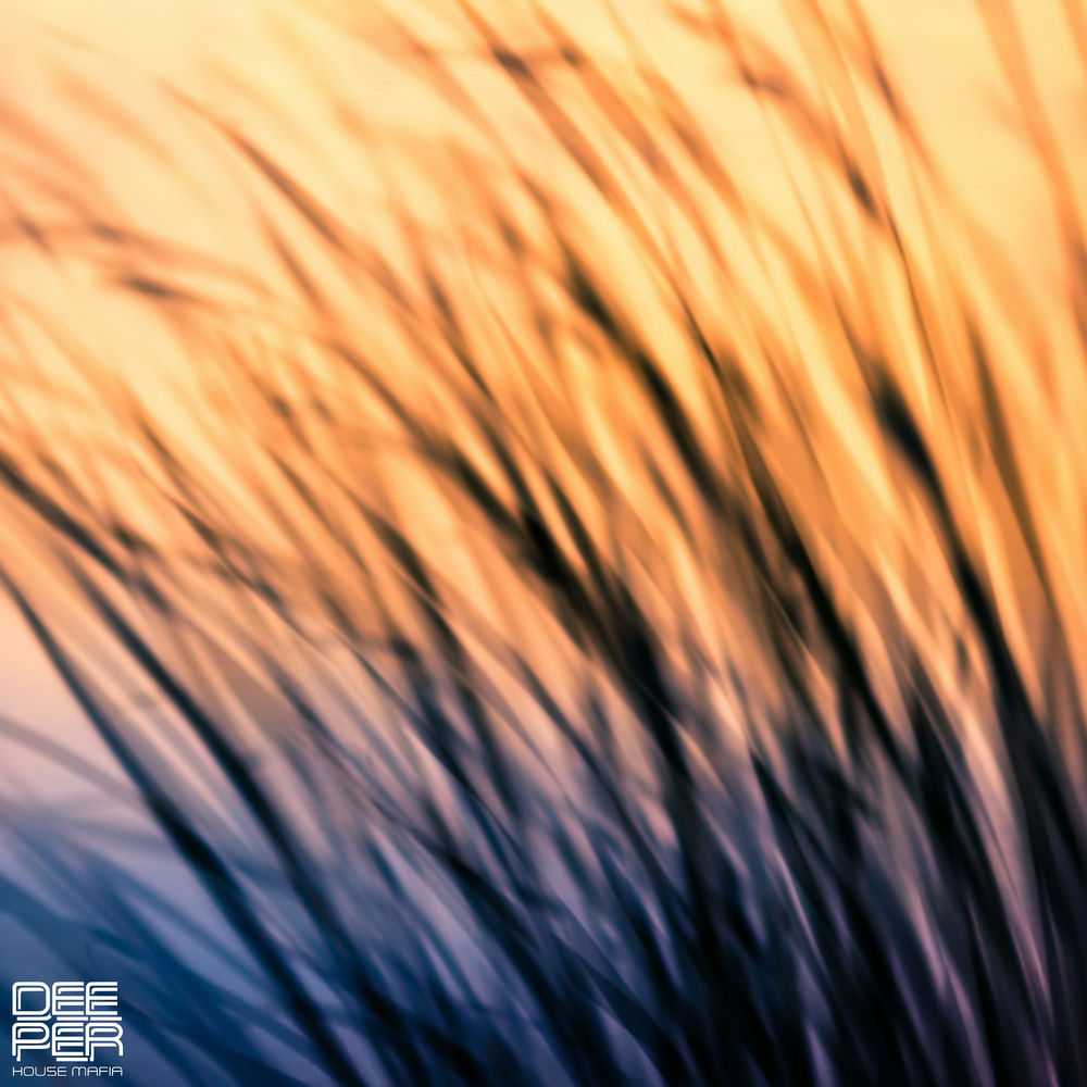 Lost In Motion - RILTIM