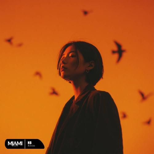 RILTIM - Nb