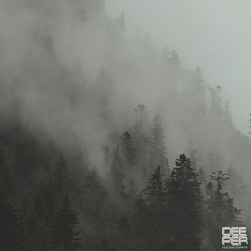 RILTIM - Reflections