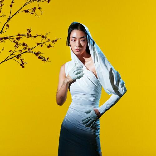 Rina Sawayama - Catch Me In The Air