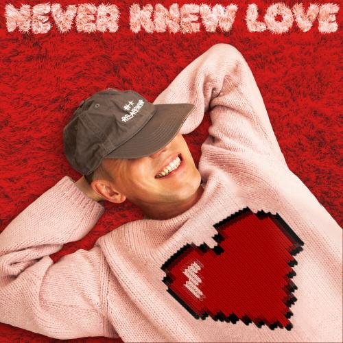 Riton & Belters Only feat. Enisa - Never Knew Love