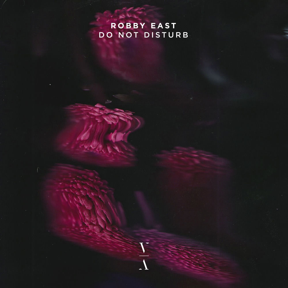Do Not Disturb - Robby East