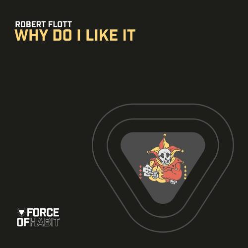Why Do I Like It - Robert Flott
