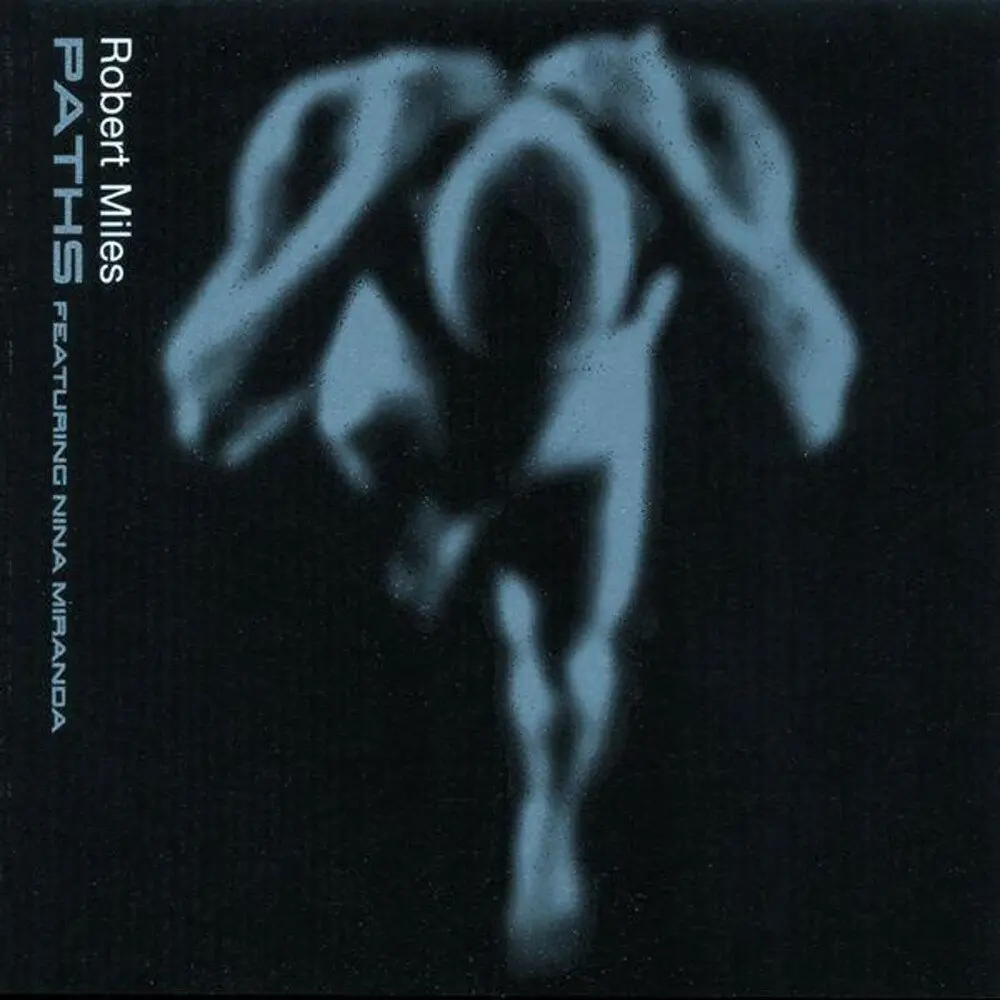 Paths (Future Sound Of London - Cosmic Jukebox Remi) - Robert Miles