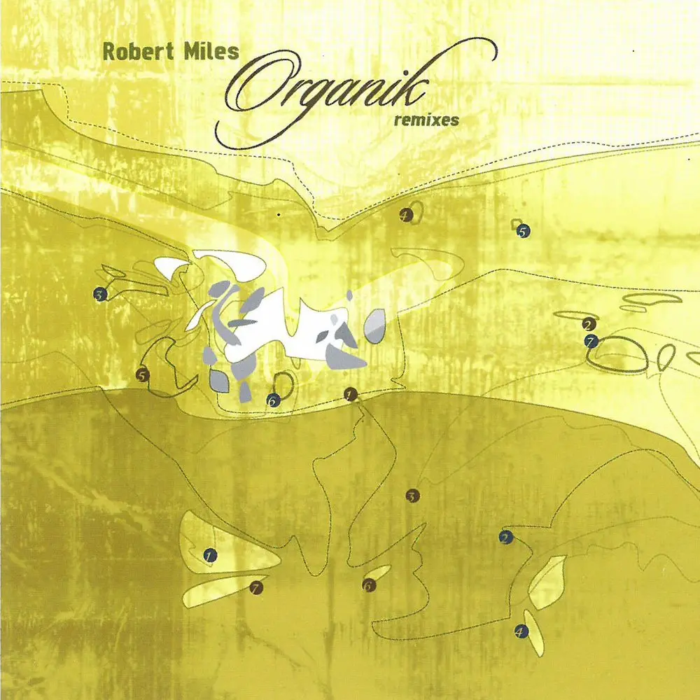 Paths (KV5 Mix) - Robert Miles