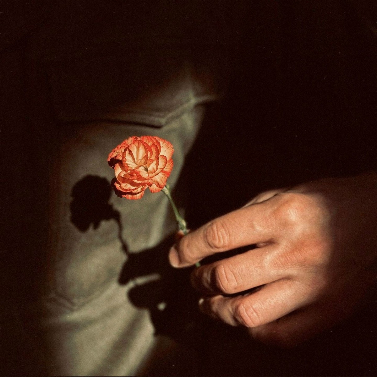 Merry Christmas Mr Lawrence - Robin Katz