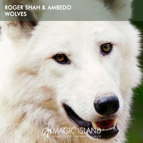 Roger Shah feat. Ambedo - Wolves (Sunlounger Instrumental Downtempo Mix)