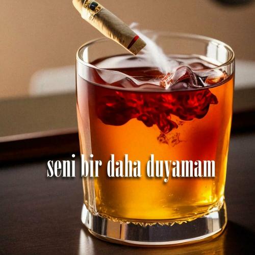 Seni Bir Daha Duyamam - Rokit & Yankı