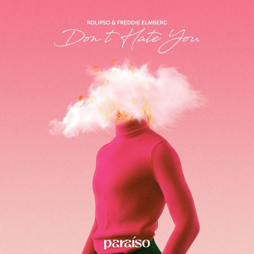Rolipso & Freddie Elmberg - Don't Hate You