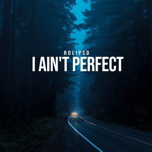 I Ain't Perfect - Rolipso