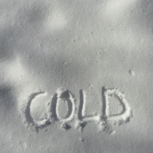Rose Cousins - Cold