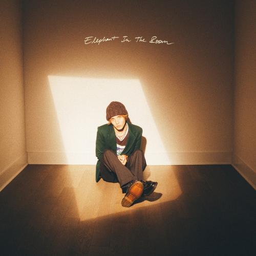 Rowan Drake - Elephant In The Room