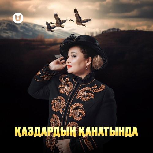 Роза Әлқожа - Қаздардың қанатында