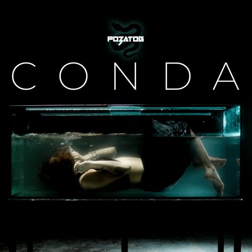 Розатов - Conda