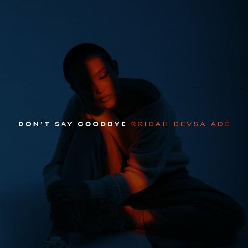 RRIDAH, DEVSA & Adé - Don't Say Goodbye