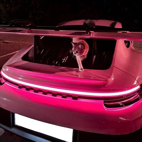 RRUXI, JDXX - APT REMIX