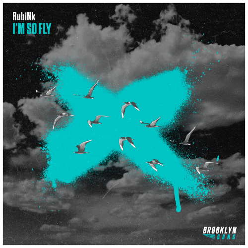 I'm So Fly - RubiNk