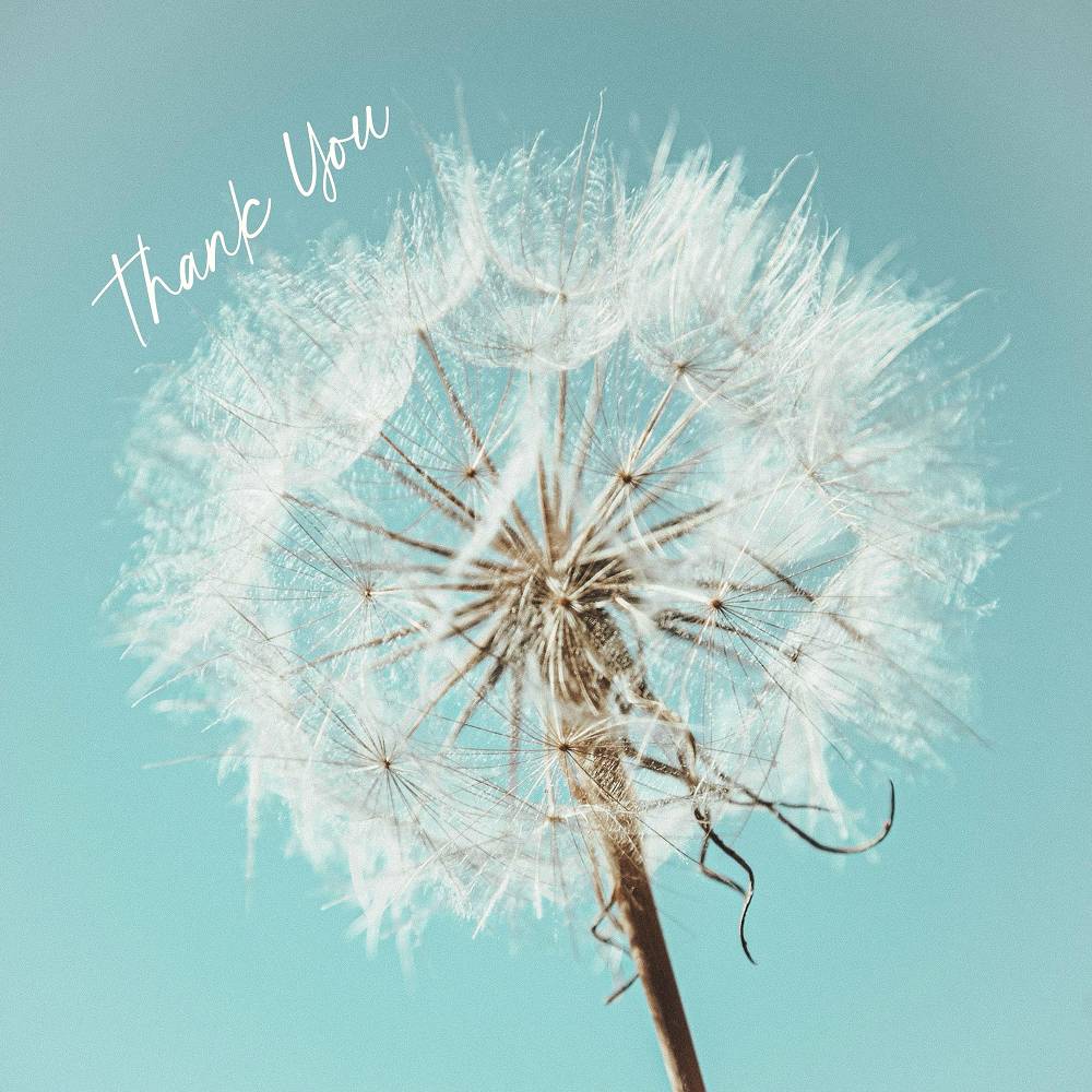 THANK YOU - Ruby Chase & Ray Emmanuel & Gazzo