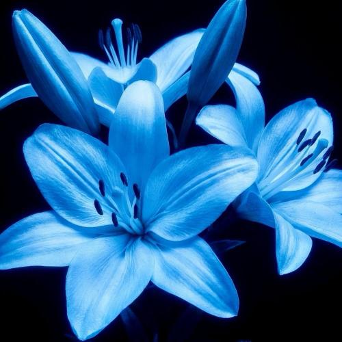 rudo made it & Cosko - Coconut X I Get Lonely Too (Super Slowed)