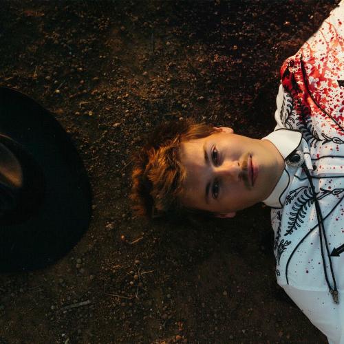 Ruel - Wild Guess