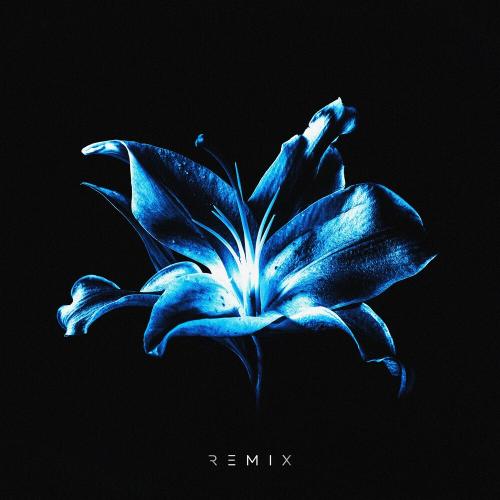 Рум & Рам - Лилии (Glazur & Xm Remix)