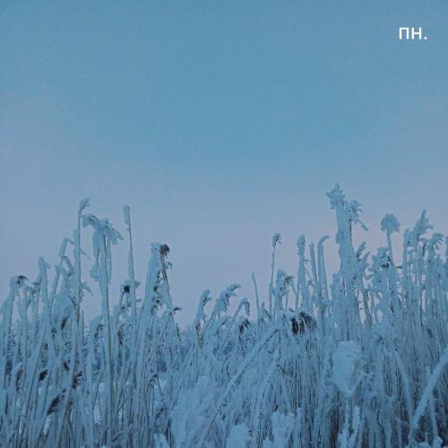 пн - ружьё курта, EXFATE