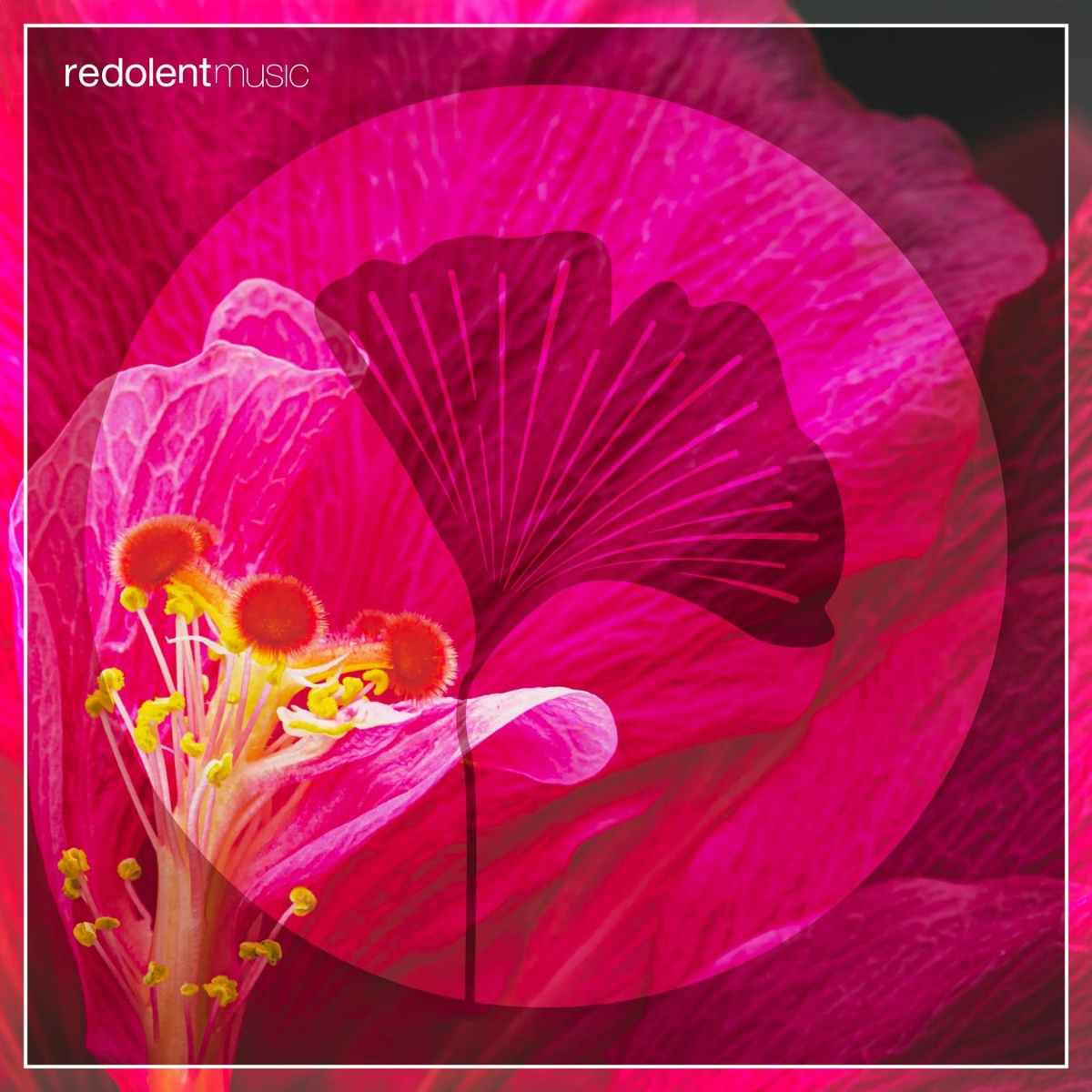 Afro Chooz (Novalima's Rafael M La Danza Edit) - Sabo, DJ Chus