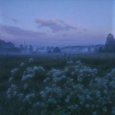 lost in haze - sadtones
