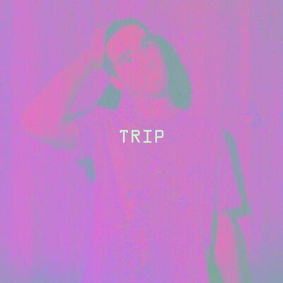 SAGI - TRIP