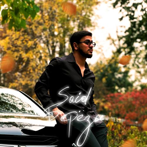 SAID - Березы
