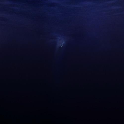 Said The Sky feat. GG Magree - Drowning