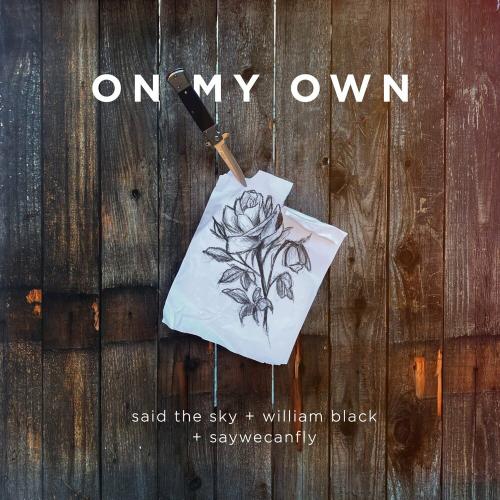 Said The Sky, William Black & Saywecanfly - On My Own