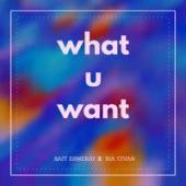 Sait Esmeray feat. Ria Civan - What U Want