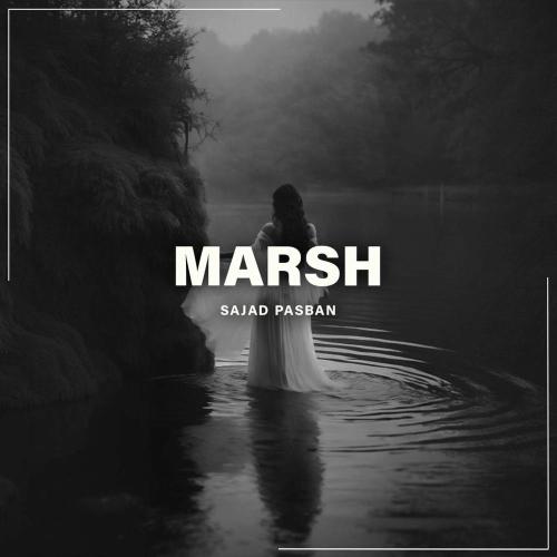 Sajad Pasban - Marsh