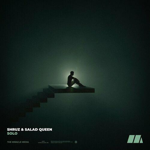 Solo ( Remix ) - Salad Queen, ShruzSolo