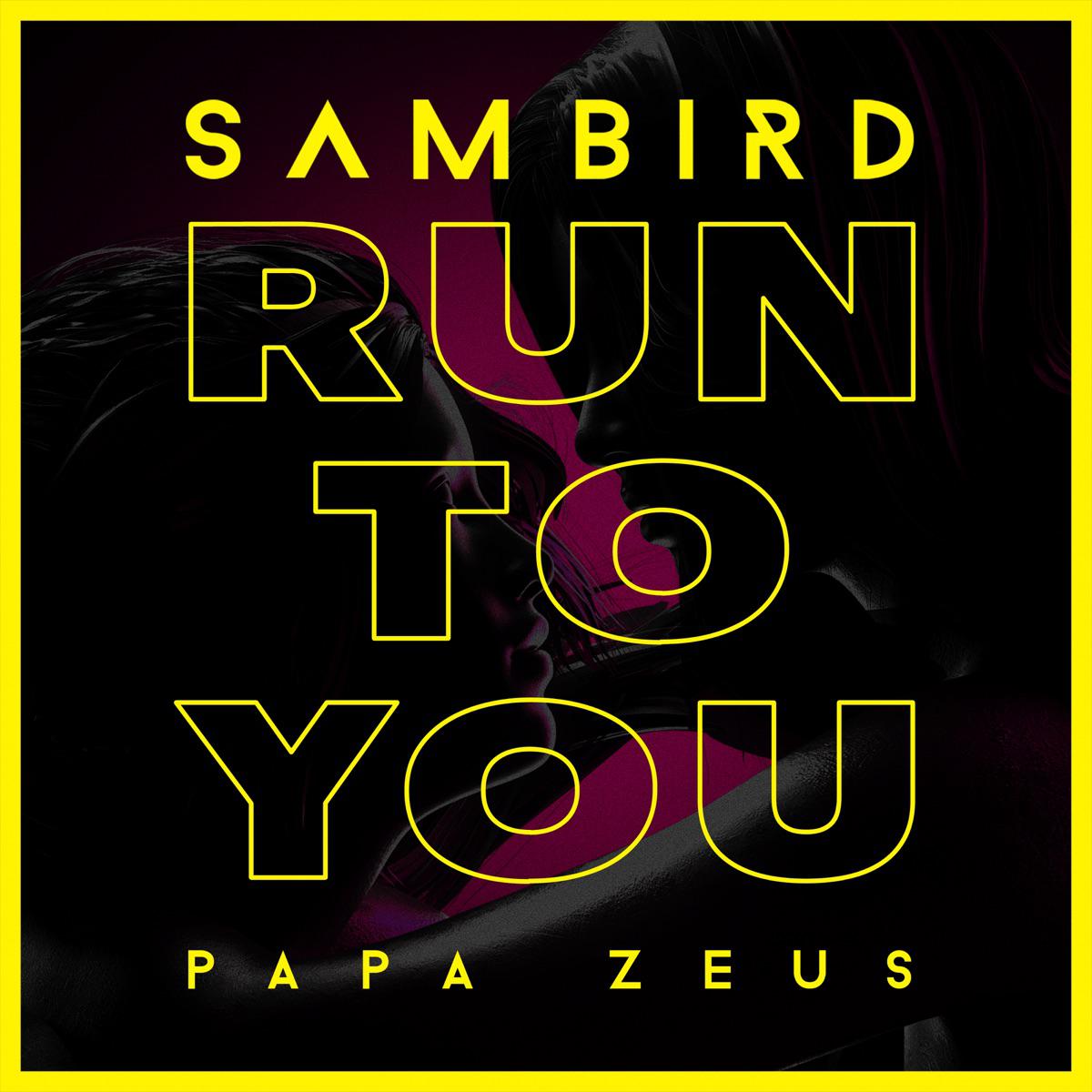 Run to You - Sam Bird & Papa Zeus