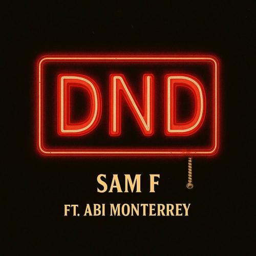 Dnd - Sam F feat. Abi Monterey