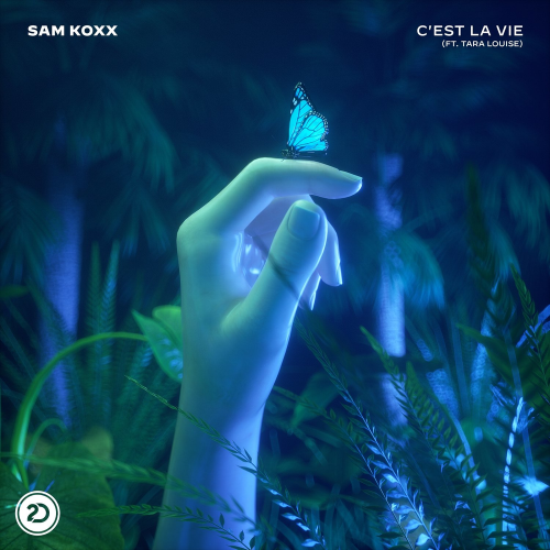 C'est La Vie - Sam Koxx feat. Tara Louise