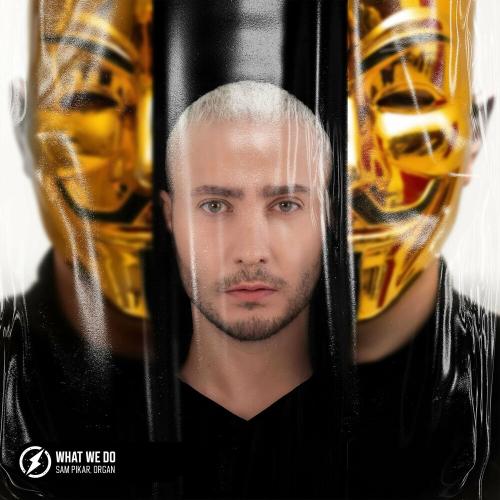 SAM PIKAR & Organ - What We Do