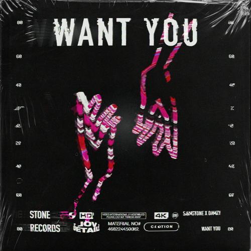 Want You - Samstone feat. Damzy