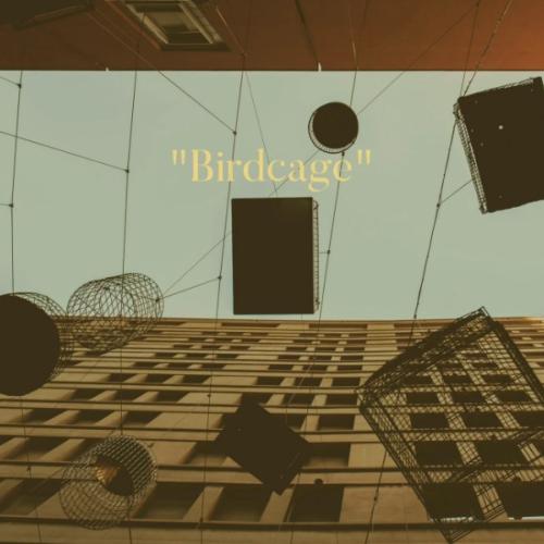 SamTheDawn - Birdcage