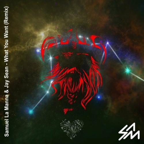 Samuel La Manna & Jay Sean - What You Want (Remix)