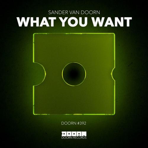 Sander van doorn - What You Want