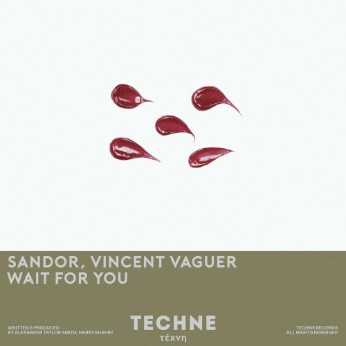 Wait For You - Sandor feat. Vincent Vaguer