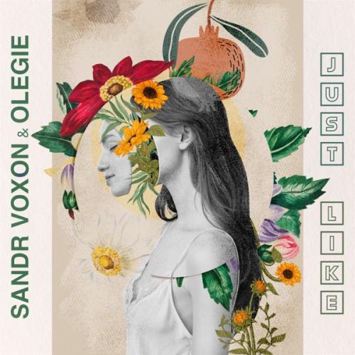Sandr Voxon & Olegie - Just Like
