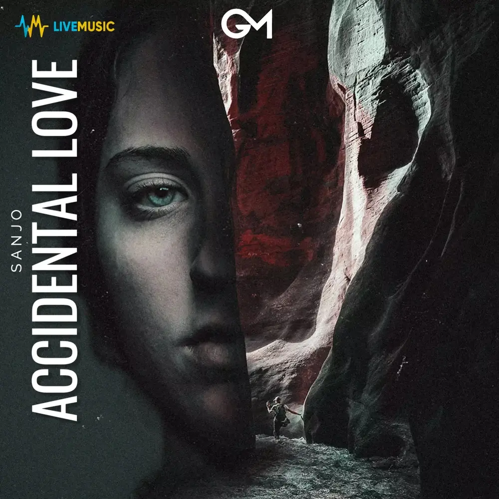 Accidental Love - Sanjo