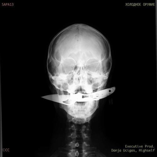 SAPA13 - Танцуй