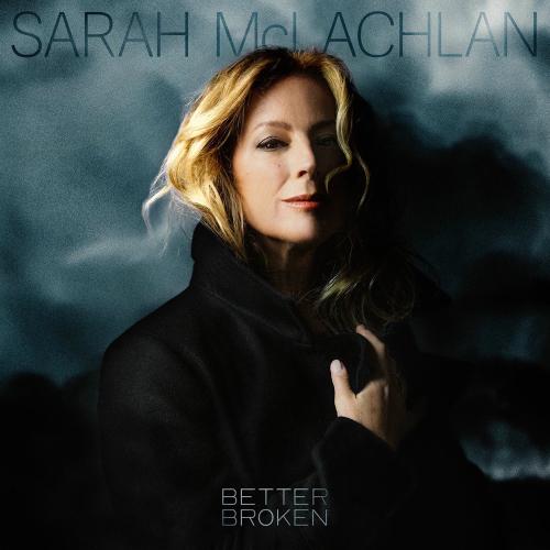 Sarah McLachlan - One In A Long Line